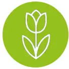 Tulipe Morges | MEDIFIT