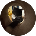 T0m profile picture